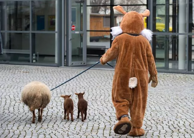 Picdump 32 - #34 
