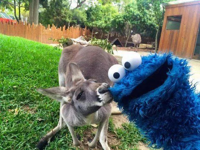 Picdump 32 - #52 
