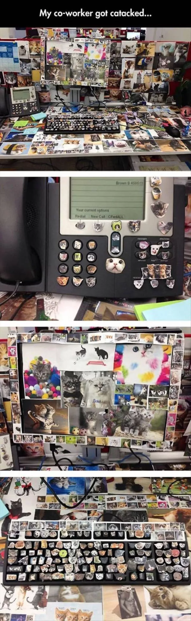 Picdump 32 - #82 