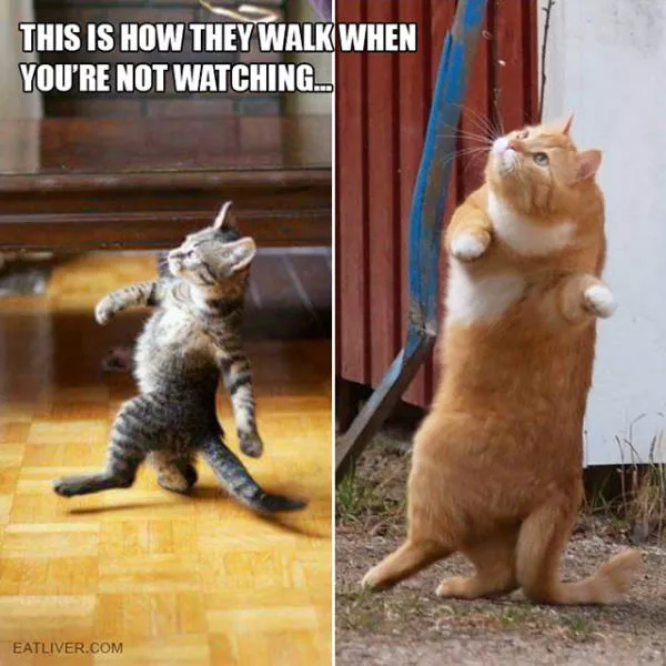 Picdump 152 - #33 