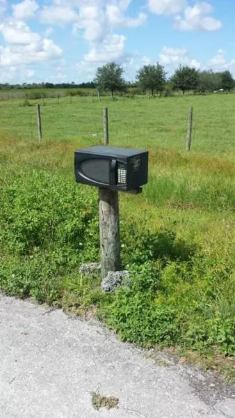 Picdump 153 - #14 