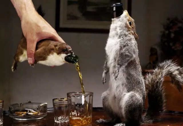 The best selection of the week - #20 