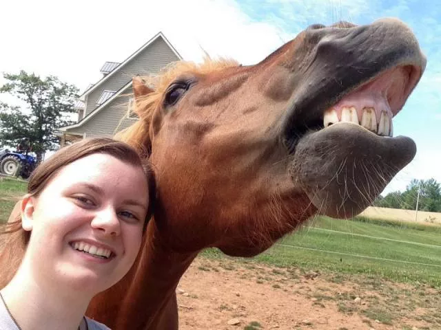 Picdump 154 - #18 