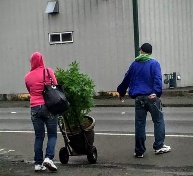 Picdump 154 - #23 
