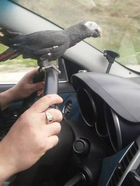 Picdump 154 - #9 