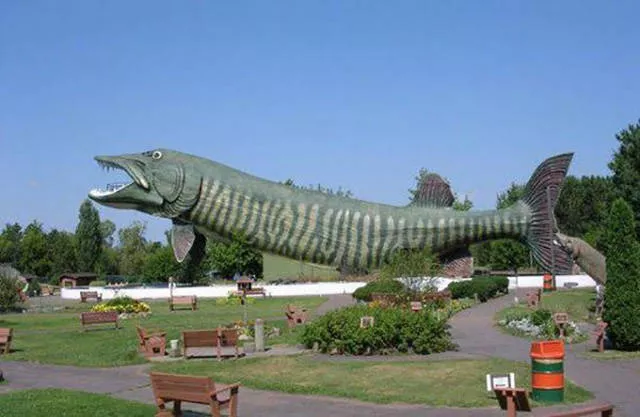 Huge things found around the world - #11 