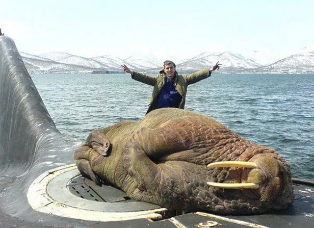 Des choses enormes trouvees dans le monde - #12 