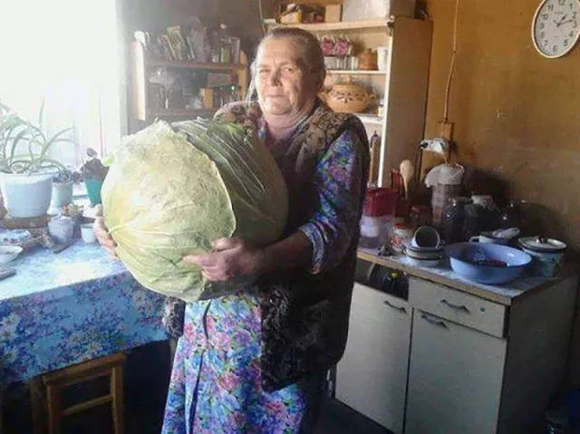 Huge things found around the world - #17 
