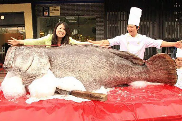 Huge things found around the world - #2 