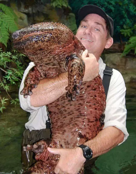 Des choses enormes trouvees dans le monde - #25 