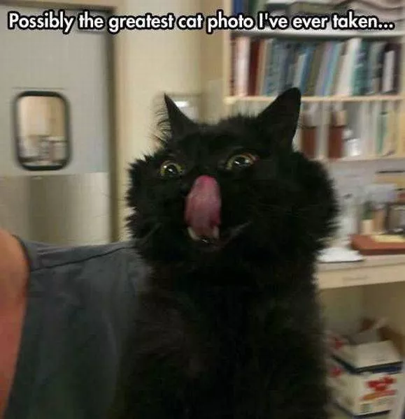 Picdump 155 - #28 