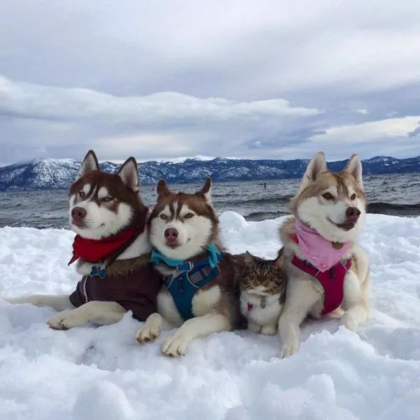Picdump 155 - #38 