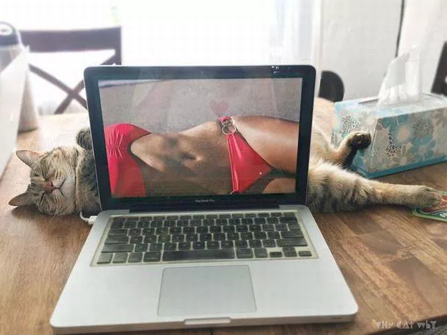 Picdump 155 - #54 