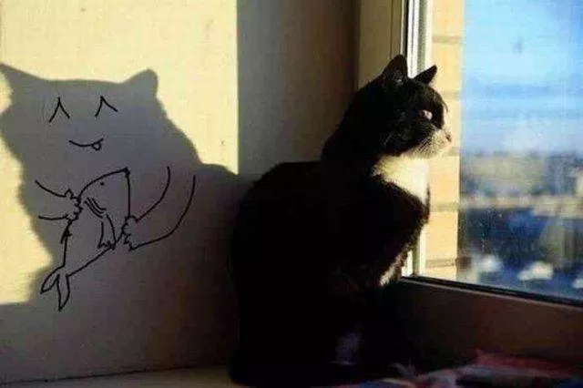 Picdump 155 - #60 