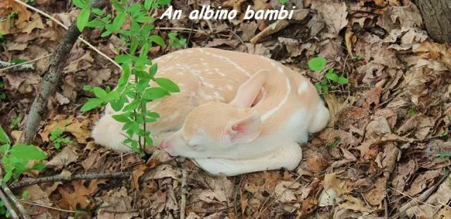 Picdump 33 - #36 