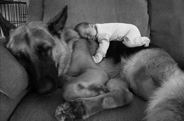 Picdump 33 - #63 