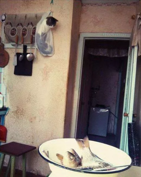 Picdump 33 - #80 