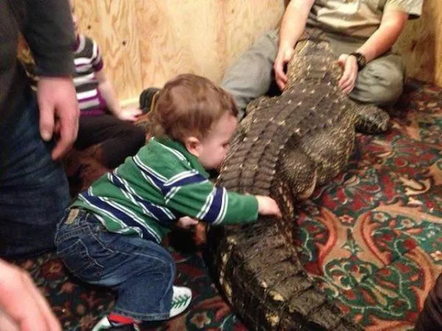 Picdump 156 - #6 Picdump 156 - #6