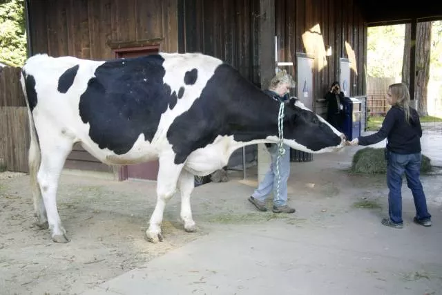 Picdump 156 - #80 Picdump 156 - #80