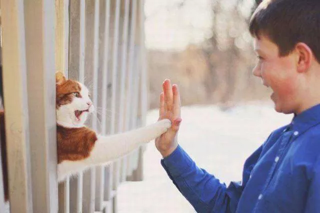 Picdump 156 - #9 Picdump 156 - #9