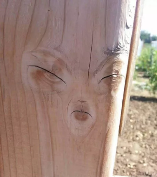 Look again if you notice anything - #20 
