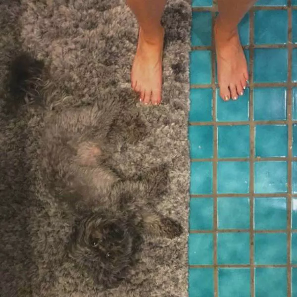 Look again if you notice anything - #39 