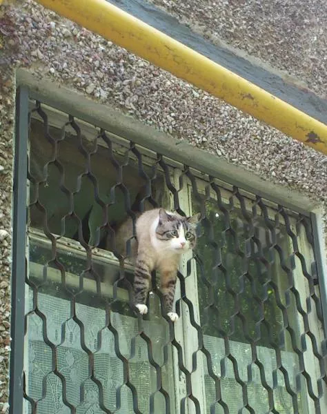 Picdump 157 - #12 