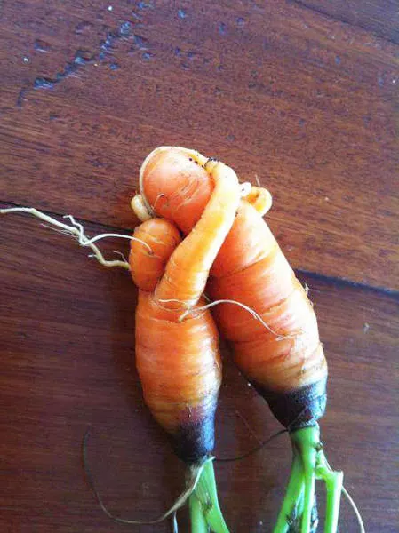 Picdump 157 - #19 