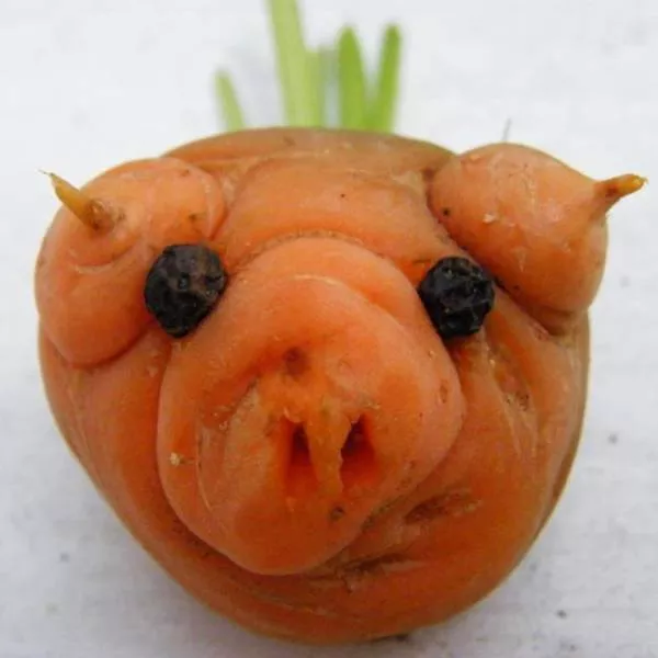 Picdump 157