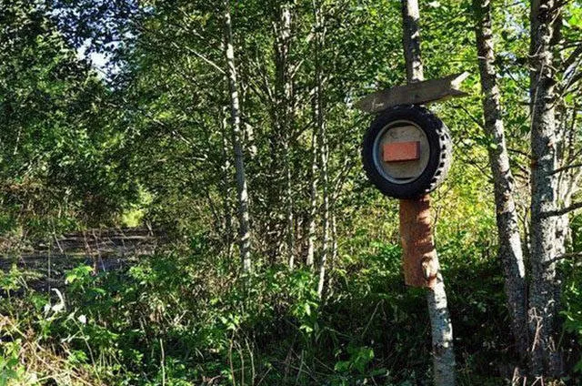 Quelque droles image depuis la russie - #29 