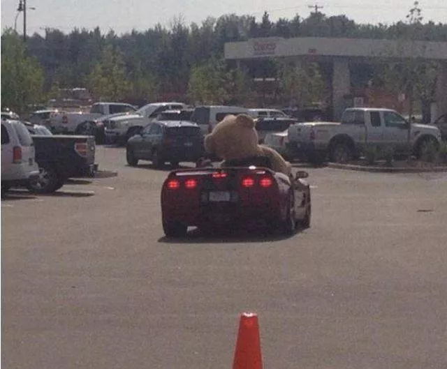 Picdump 158 - #16 