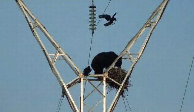 Picdump 158 - #24 