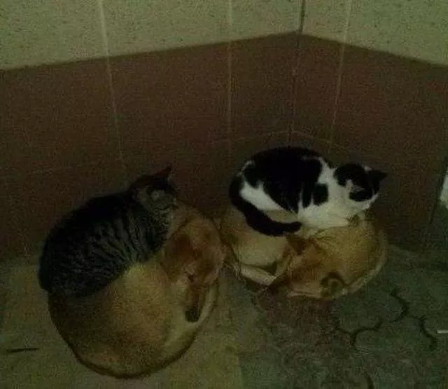 Picdump 158 - #44 