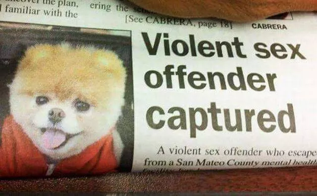 Picdump 158 - #52 