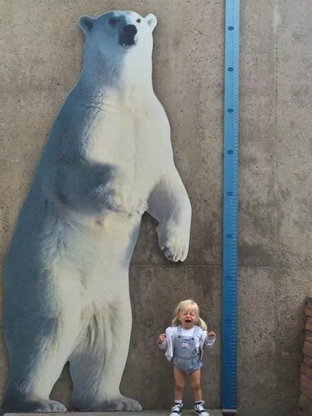 Picdump 158 - #58 
