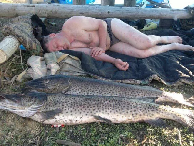 Picdump 158 - #61 