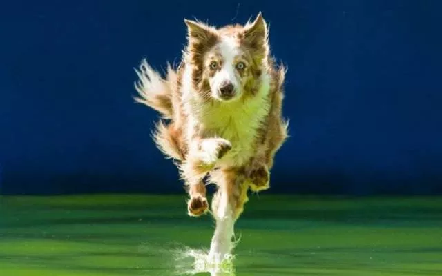 Picdump 158 - #7 