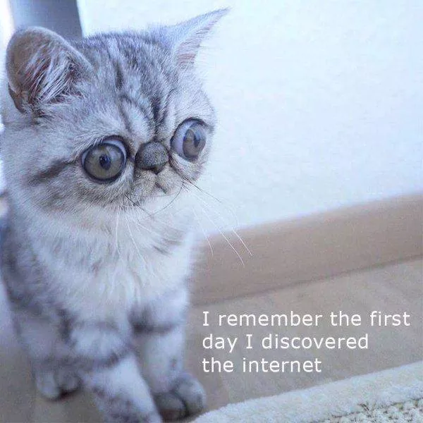 Picdump 158 - #73 