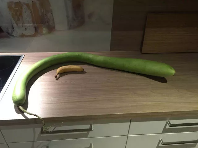Picdump 159 - #40 