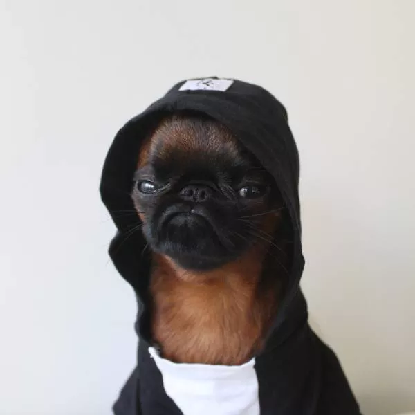 Picdump 159 - #45 