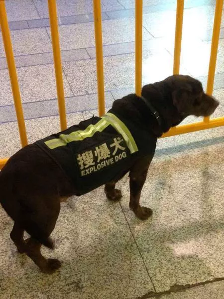 Picdump 159 - #5 