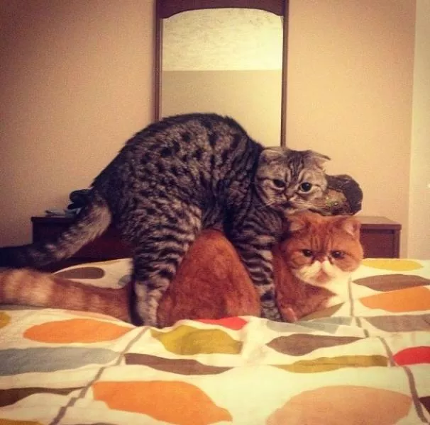 Picdump 34 - #28 