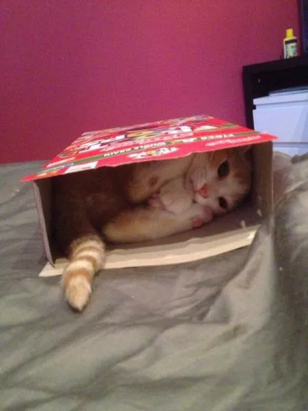 Picdump 34 - #32 