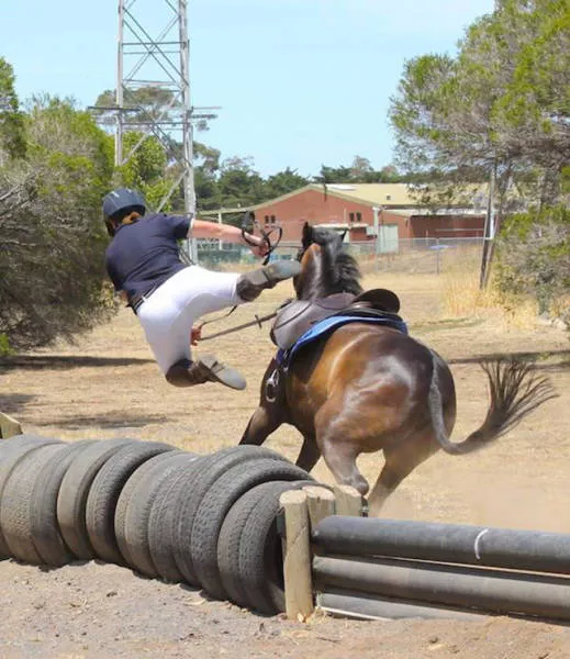 Picdump 34 - #44 