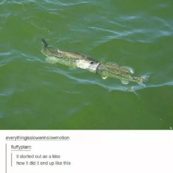 Picdump 34 - #53 