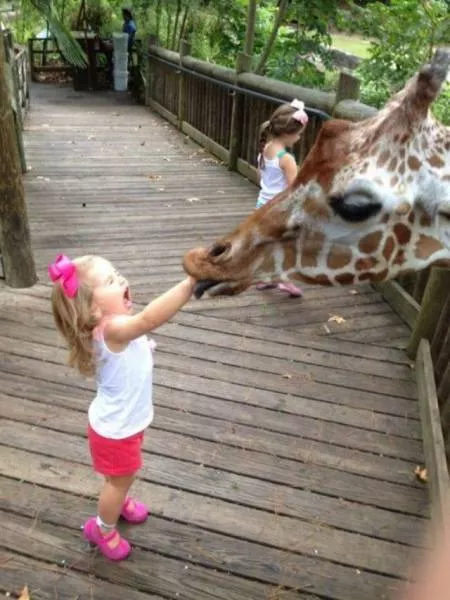 Picdump 34 - #57 