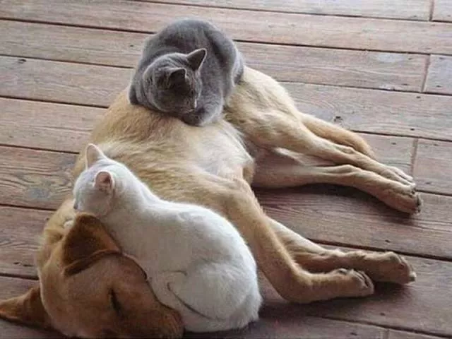 Picdump 34 - #62 