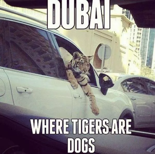 Picdump 34 - #75 
