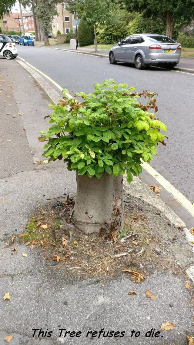 Picdump 160 - #11 
