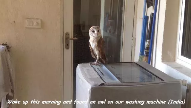 Picdump 160 - #13 